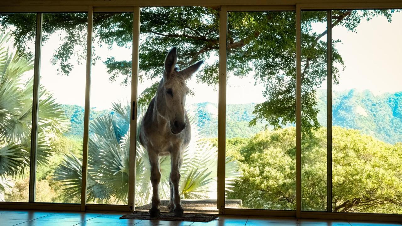Rivland Resort Païta Kültér fotó